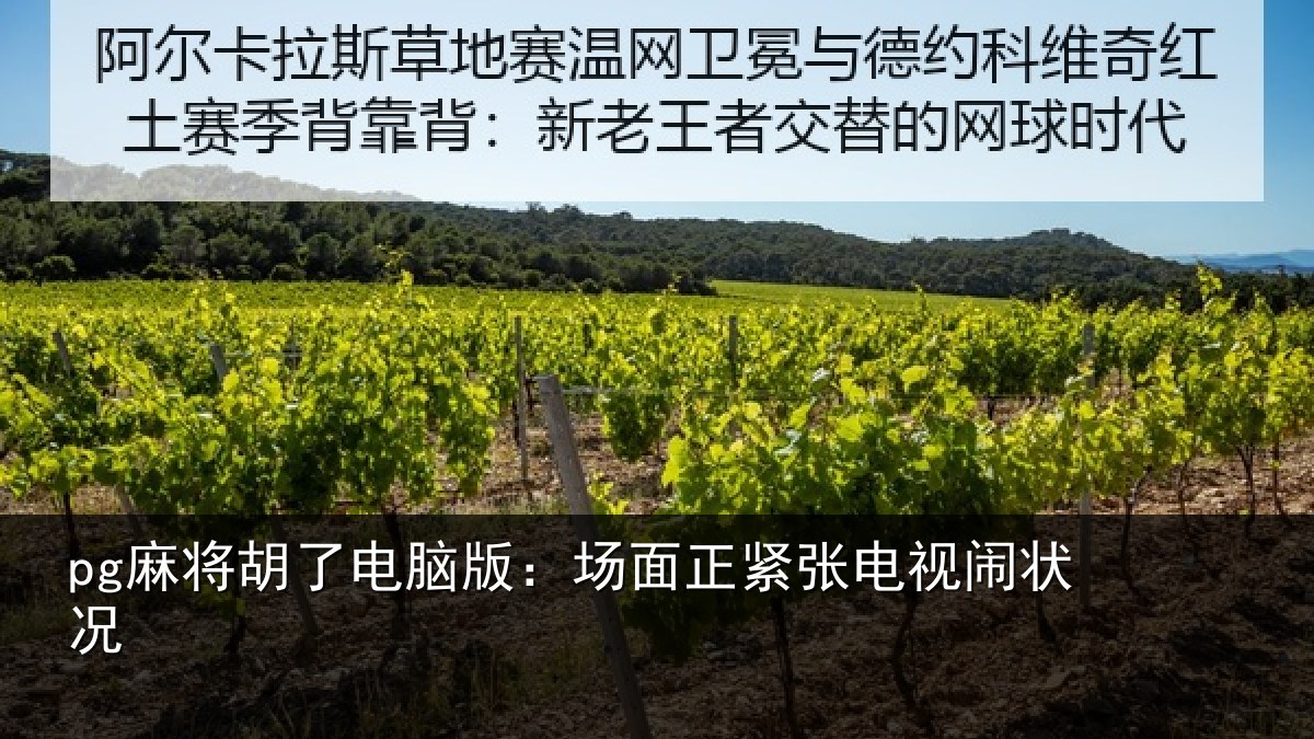 pg麻将胡了电脑版：场面正紧张电视闹状况