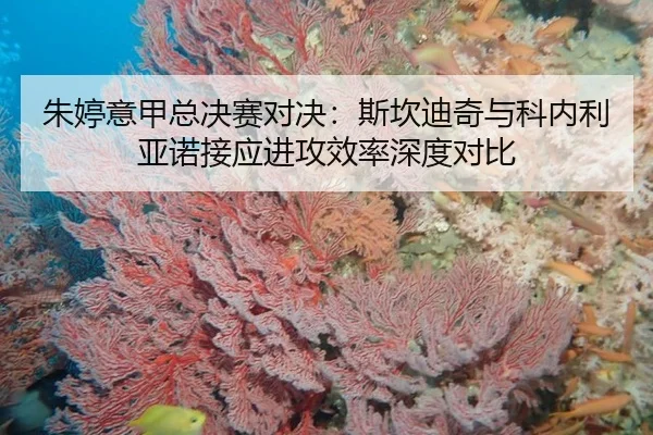 zhu-ting-yi-jia-zong-jue-sai-dui-jue-si-kan-di-qi-yu-ke-nei-li-ya-nuo-jie-ying-jin-gong-xiao-lv-shen-du-dui-bi-3-577.jpg