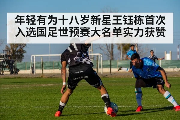 年轻有为十八岁新星王钰栋首次入选国足世预赛大名单实力获赞