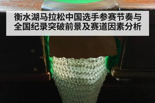 衡水湖马拉松中国选手参赛节奏与全国纪录突破前景及赛道因素分析